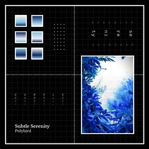 Обложка для Polybird - Subtle Serenity