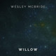 Обложка для Wesley McBride - Willow