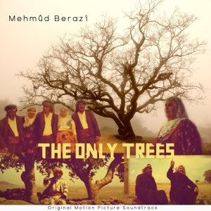 Обложка для Mehmûd Berazî - Du Steyir