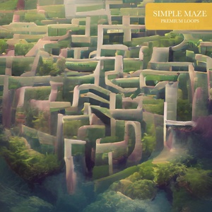 Обложка для Premium Loops - Simple Maze