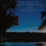 Обложка для Nature Sound Band - Night Forest Sound for Your Good Sleep, Pt. 2