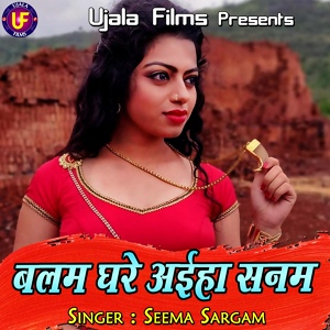 Обложка для Seema Sargam - Bewafa Sanam