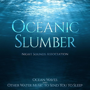 Обложка для Night Sounds Association - Tranquil Oceans