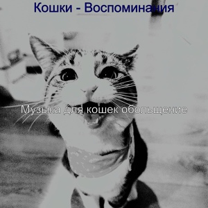 Обложка для Музыка для кошек обольщение - Созерцая (Расслабляющие кошки)