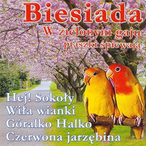 Обложка для Misart - Hej! Sokoly (Na zielonej Ukrainie)
