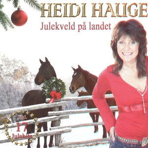 Обложка для Heidi Hauge - Chrismas Party