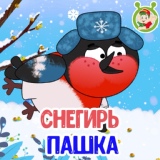 Обложка для МультиВарик ТВ - Снегирь Пашка