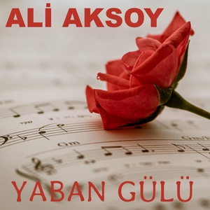 Обложка для Ali Aksoy - Gurbet