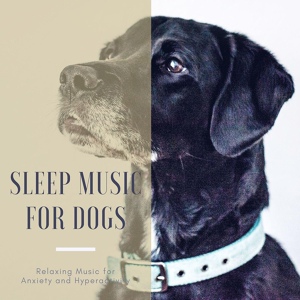 Обложка для Calming Music for Dogs - Pet Care Music Therapy