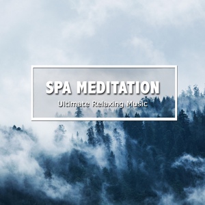 Обложка для Relaxing Zen Spa, Best Relaxing SPA Music, Spa Music Relaxation Therapy - Wave After Delta Wave