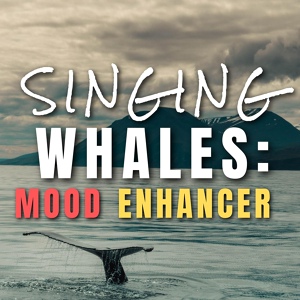 Обложка для Whale Sounds - Binaural Whale