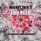 Обложка для Lou Reed - Walk And Talk It