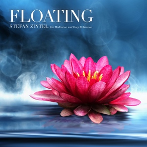 Обложка для Stefan Zintel - Floating
