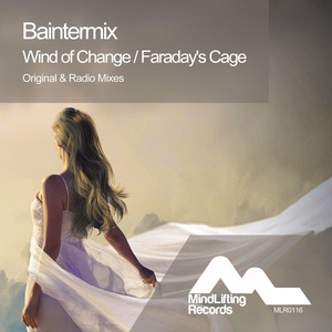 Обложка для Baintermix - Faraday's Cage