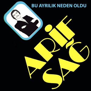 Обложка для Arif Sağ - Bu Ayrılık Neden Oldu