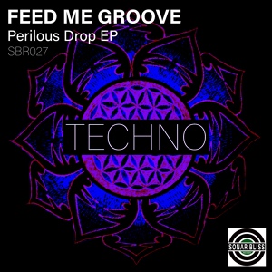 Обложка для Feed Me Groove - The Dark Hall