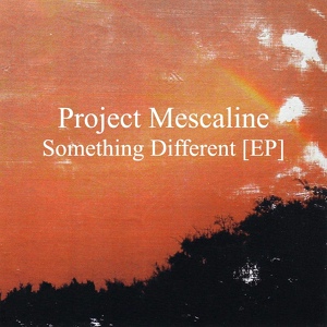 Обложка для Project Mescaline - Echo