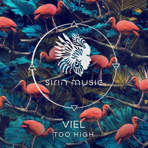 Обложка для Viel - Too High