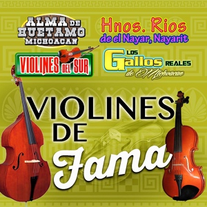 Обложка для Violines Del Sur - El Cajoncito