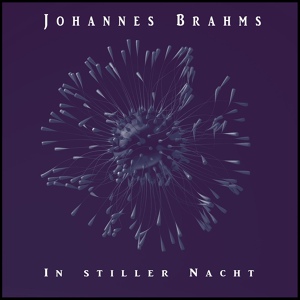Обложка для Johannes Brahms, Nologo - Vals no. 3