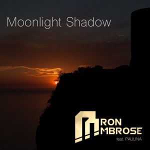 Обложка для Aaron Ambrose feat. Paulina - Moonlight Shadow (Scotty Remix)