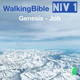 Обложка для WalkingBible, Matt Weeks - 1 Samuel 16:7