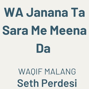 Обложка для waqif malang feat. Seth Perdesi - WA Janana Ta Sara Me Meena Da