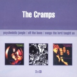 Обложка для The Cramps - Human Fly
