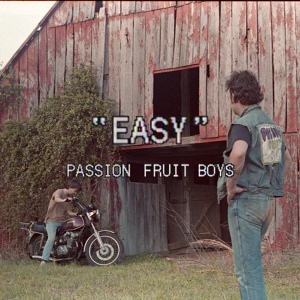 Обложка для Passion Fruit Boys - Easy