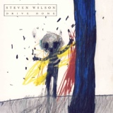 Обложка для Steven Wilson - The Holy Drinker