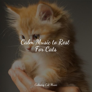 Обложка для RelaxMyCat, Cat Music Experience, Official Pet Care Collection - Textures