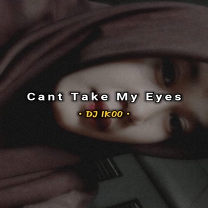 Обложка для DJ Ikoo - DJ Cant Take My Eyes - Inst