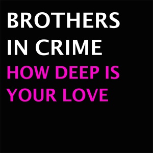 Обложка для Brothers In Crime - Hallucinating