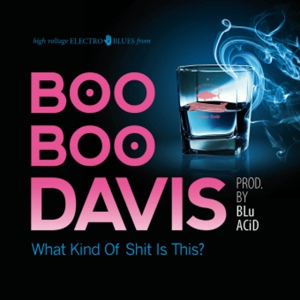 Обложка для Boo Boo Davis (2014) - If You Ain't Never Had The Blues