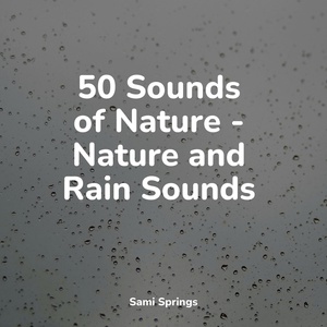 Обложка для Sleep Sound Library, Calm shores, Regen - Windy Rain Weather