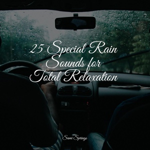 Обложка для Música Zen Relaxante, Rain, Massage - Woods, Dawn, Birds