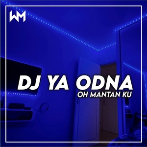 Обложка для Dariz RMX - DJ YA ODNA X OH MANTAN KU