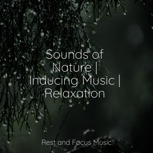 Обложка для Musique Zen Garden, Wellness, Tinnitus Aid - Singing Waves