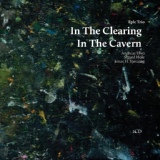 Обложка для Eple Trio feat. Jonas Sjøvaag, Andreas Ulvo, Sigurd Hole - In the Clearing
