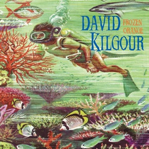 Обложка для David Kilgour - G-Maj 7