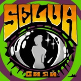 Обложка для Selva - Встань и иди