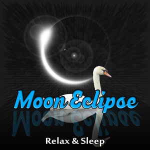 Обложка для Moon Eclipse Ensemble - Quiet Night (Therapy Music)