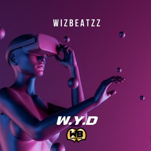 Обложка для WIZBEATZZ - W.Y.D