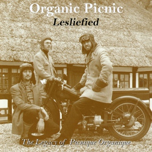 Обложка для Organic Picnic - Monk's Monastery