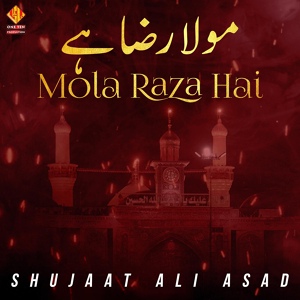 Обложка для Shujaat Ali Asad - Mun Mata Hubbe
