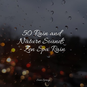 Обложка для Nature's Symphony, Natural Rain Sounds for Sleeping, Sounds Of Nature : Thunderstorm, Rain - Forest Ambience, Strong Wind, Rain