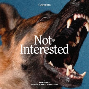 Обложка для Celestino - Not Interested