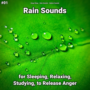 Обложка для Deep Sleep, Rain Sounds, Nature Sounds - The Sound of Rain to Help Babies Sleep Longer at Night