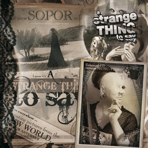 Обложка для Sopor Aeternus & The Ensemble Of Shadows - A Strange Thing to Say