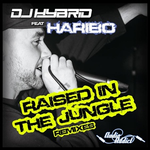 Обложка для DJ Hybrid, Haribo - Raised In The Jungle